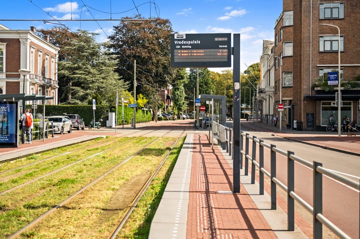 Photo 57 of Anna Paulownastraat 111-A