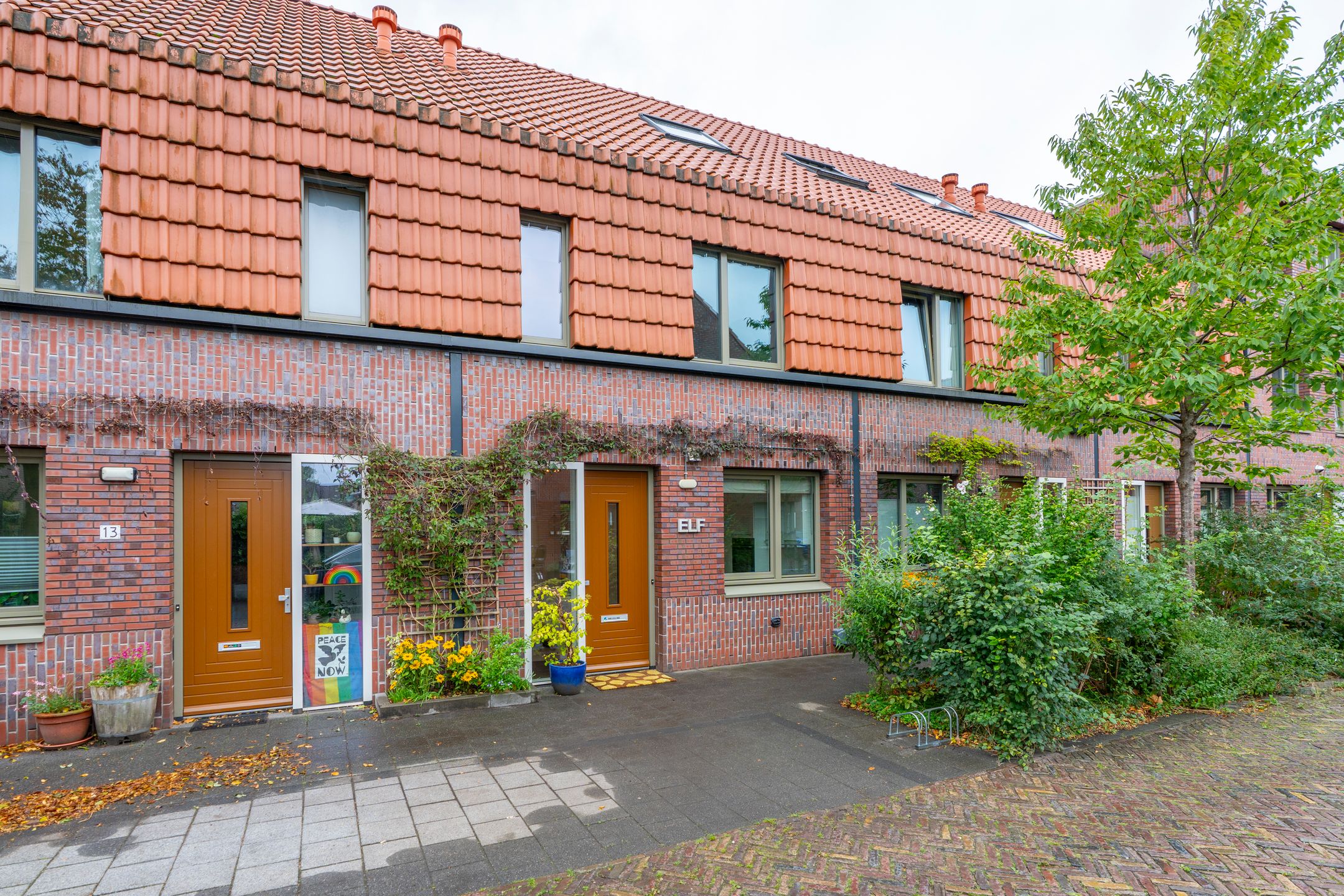 Tomaatstraat 11 