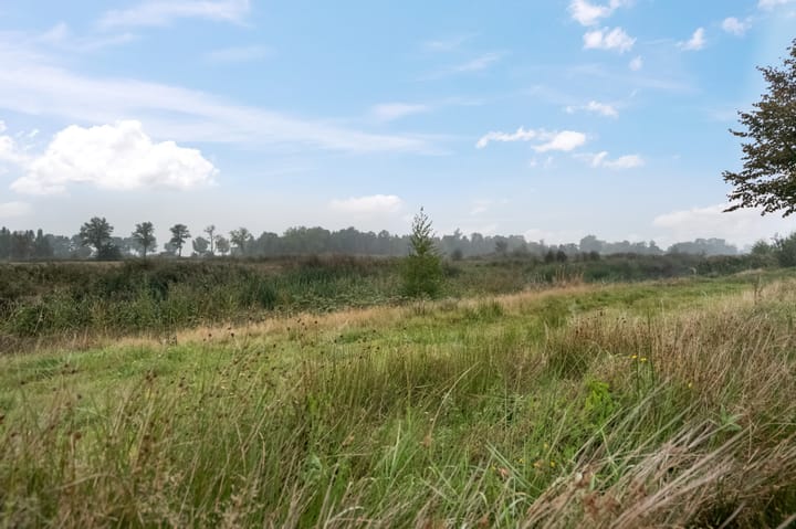 Foto 25 van Blaarkop 73