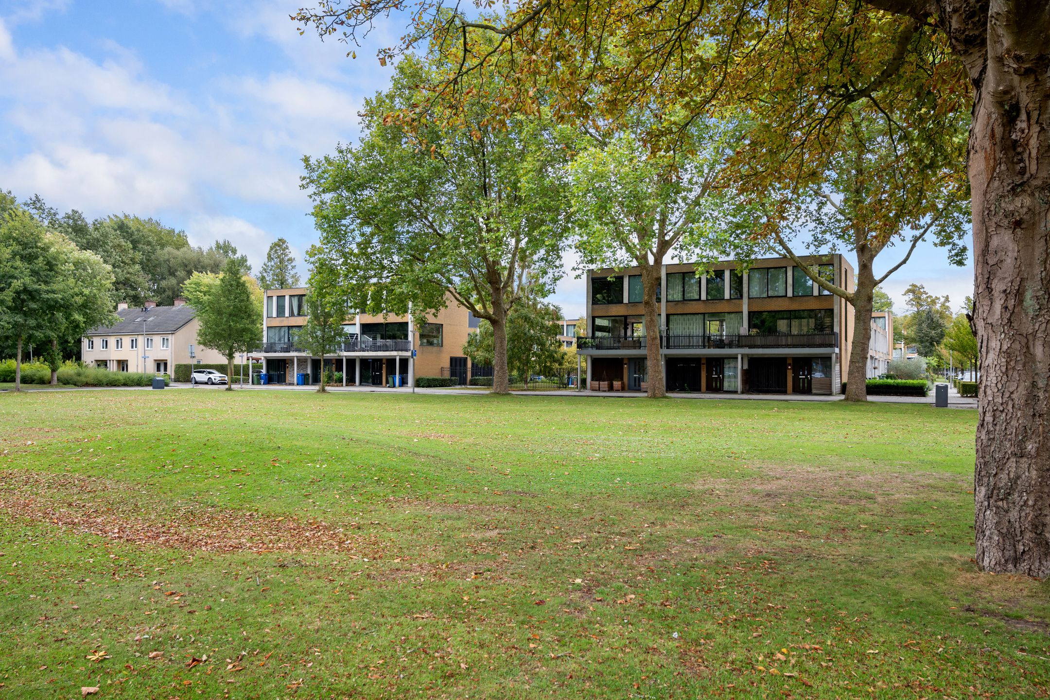 Photo 30 of Endenburg 8