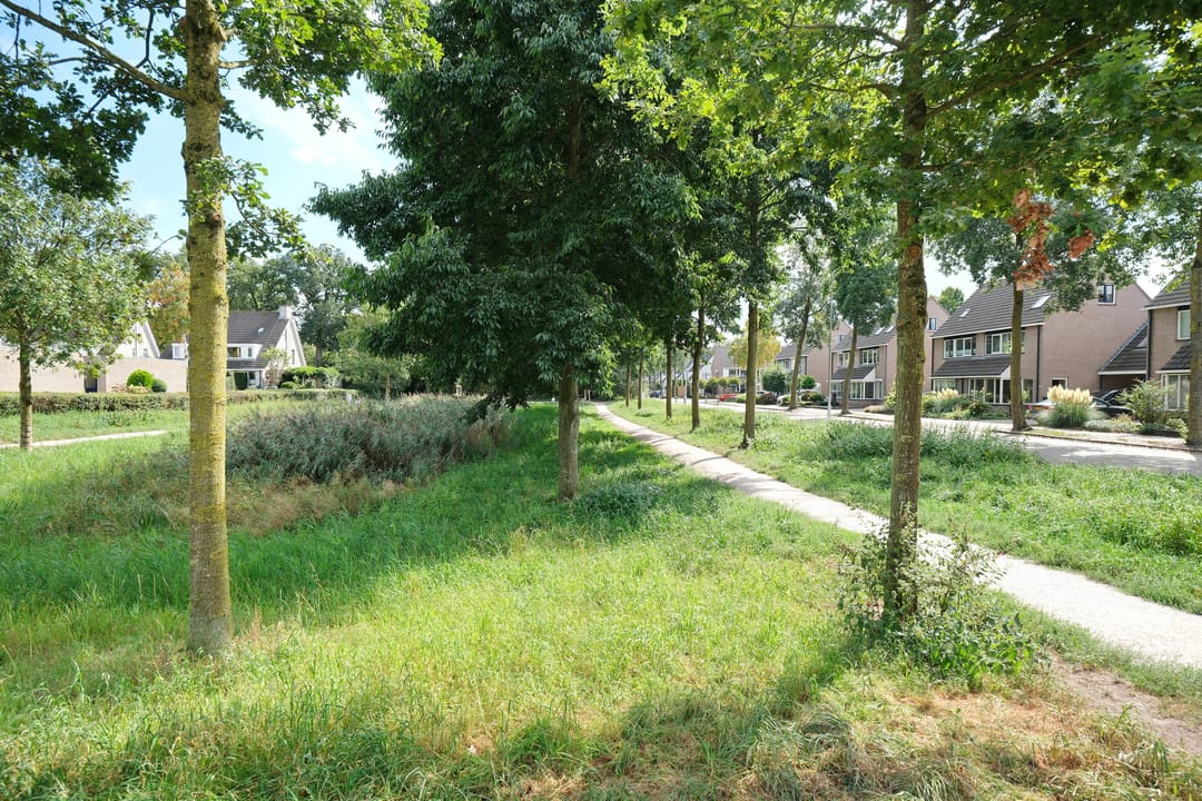 Foto 28 van Rubensstraat 12