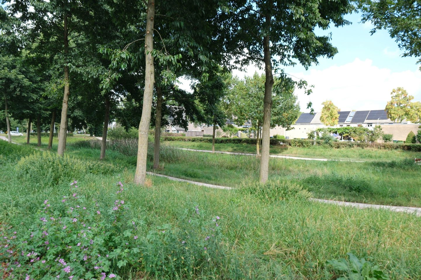 Foto 29 van Rubensstraat 12