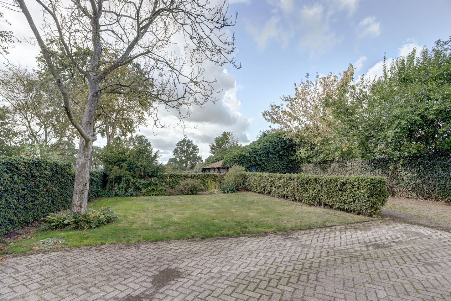 Foto 34 van Biestsestraat 59