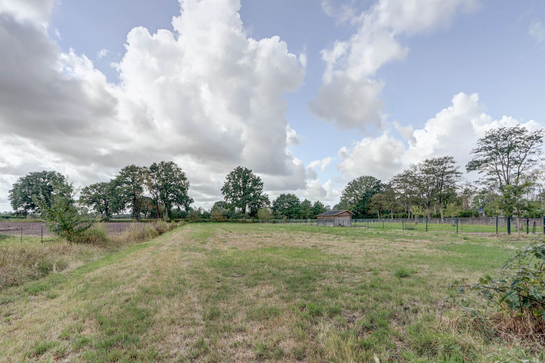 Foto 36 van Biestsestraat 59