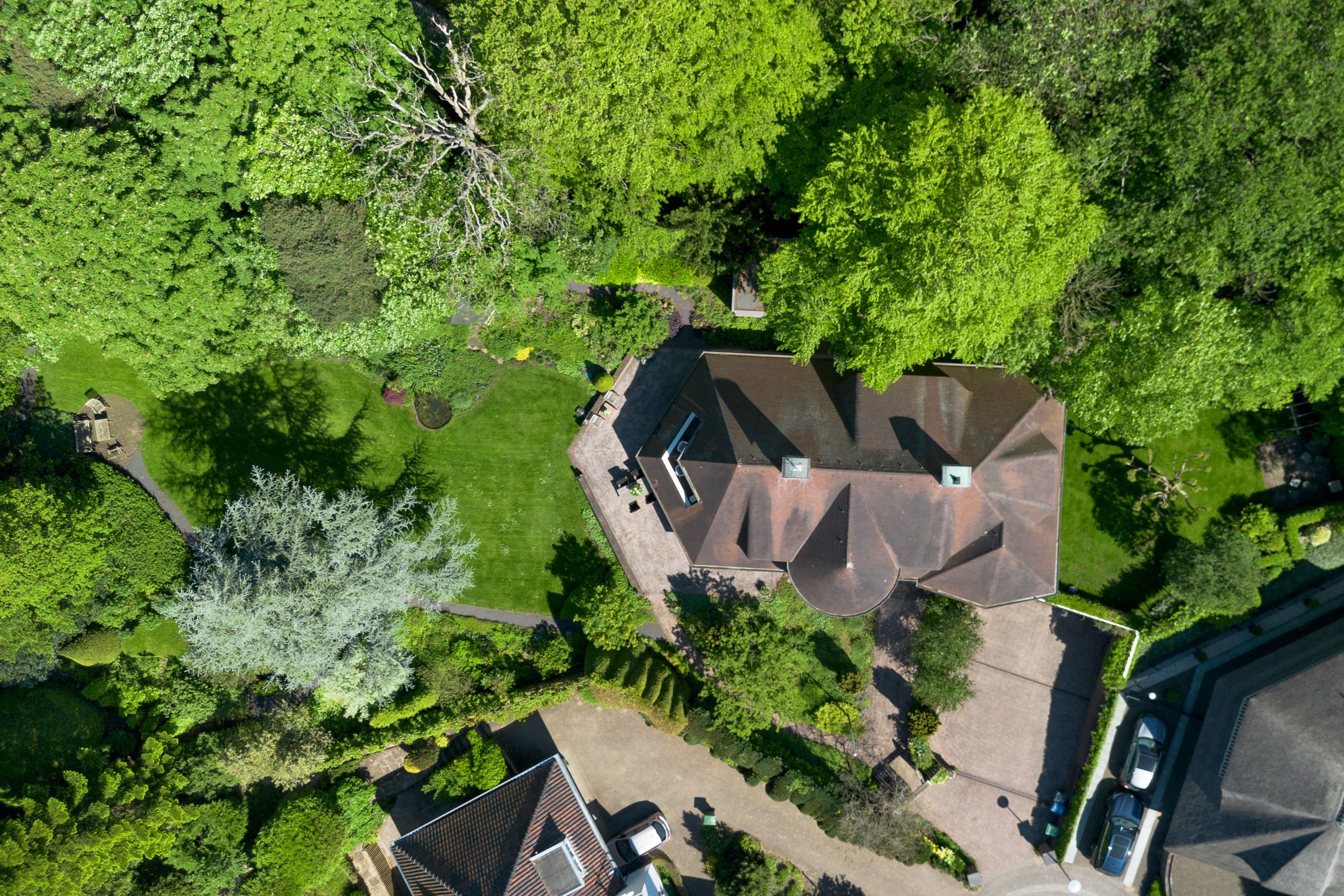 Foto 6 van Leonard Springerhof 4