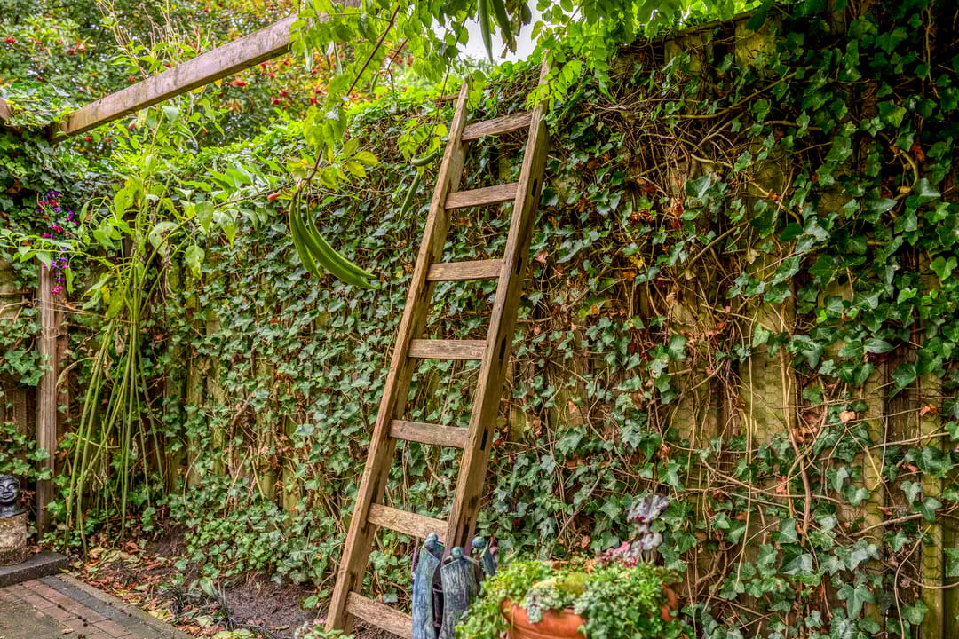 Photo 31 of Delderveenweg 9