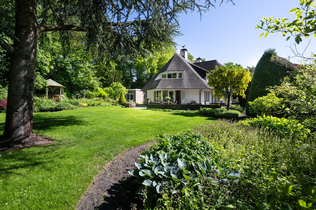 Foto 56 van Leonard Springerhof 4