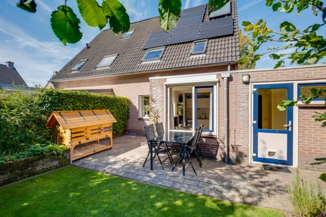 undefined main image