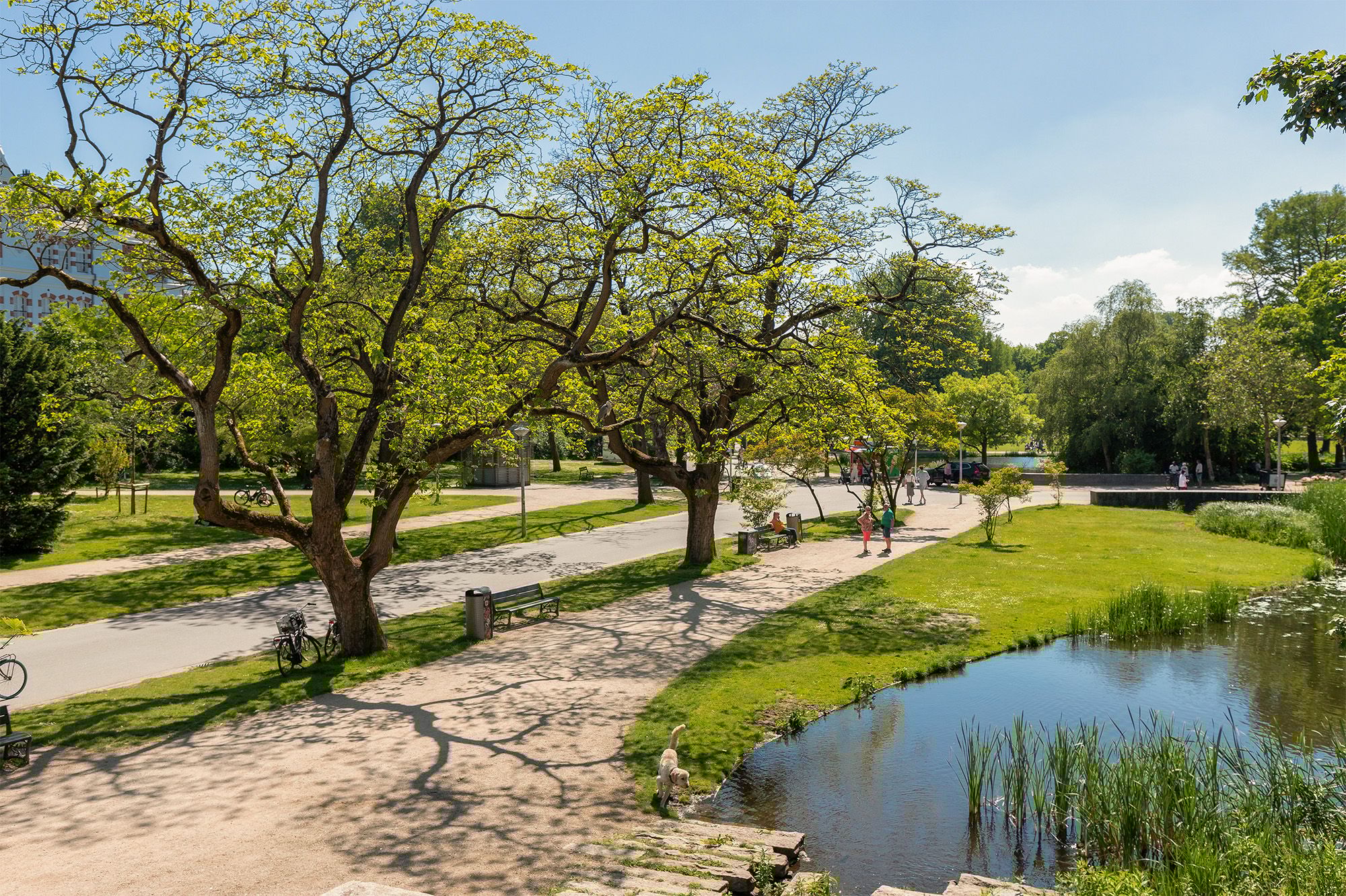 Photo 27 of Jacob van Lennepstraat 51-2