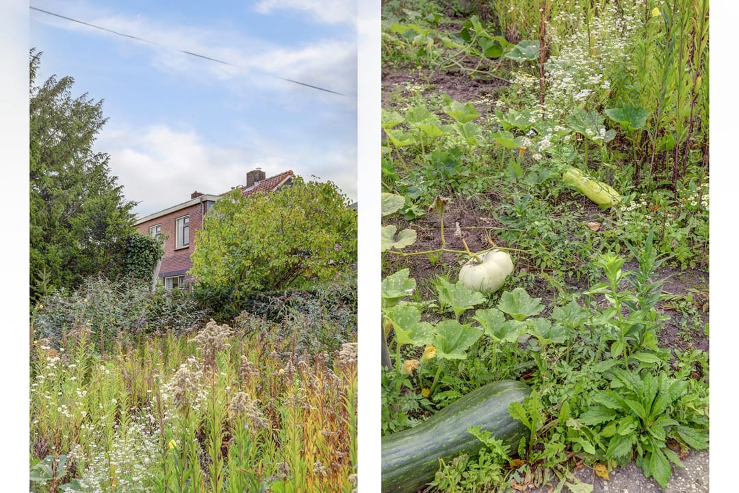 Foto 52 van Leerdamseweg 57