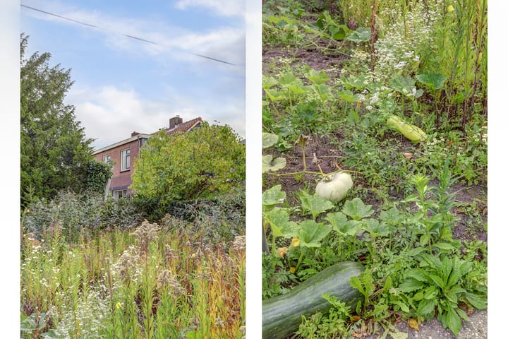 Foto 52 van Leerdamseweg 57