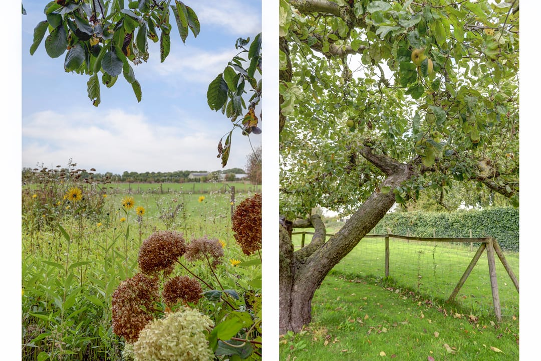 Foto 58 van Leerdamseweg 57