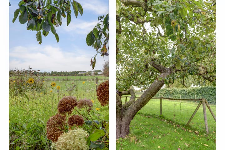 Foto 58 van Leerdamseweg 57