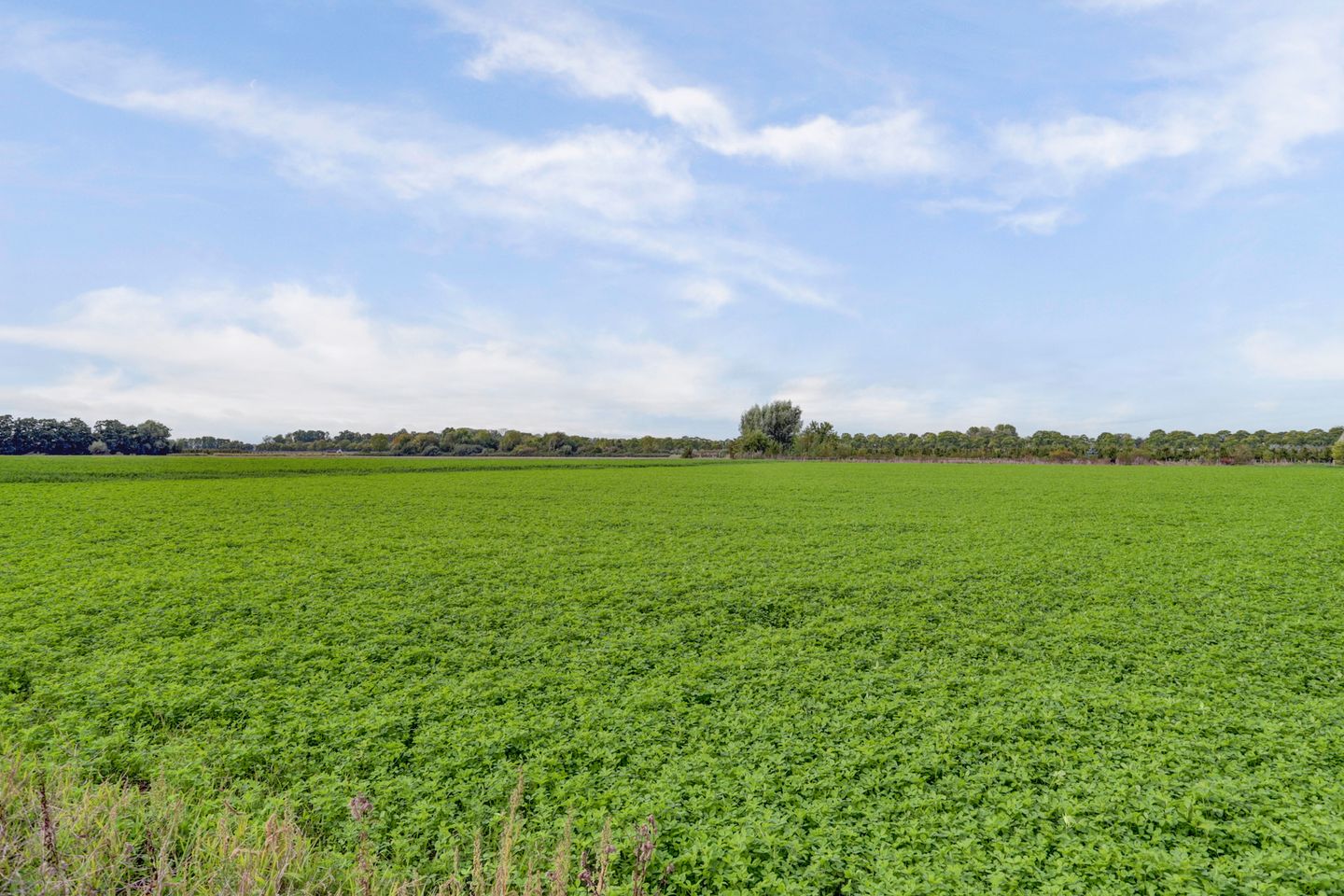 Foto 65 van Leerdamseweg 57