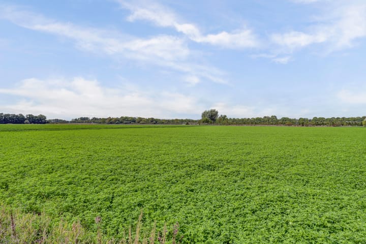 Foto 65 van Leerdamseweg 57