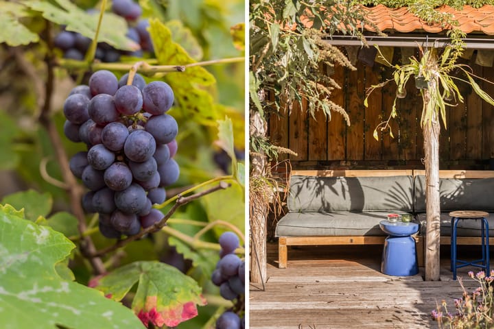 Foto 19 van Tjerk Hiddesstraat 3