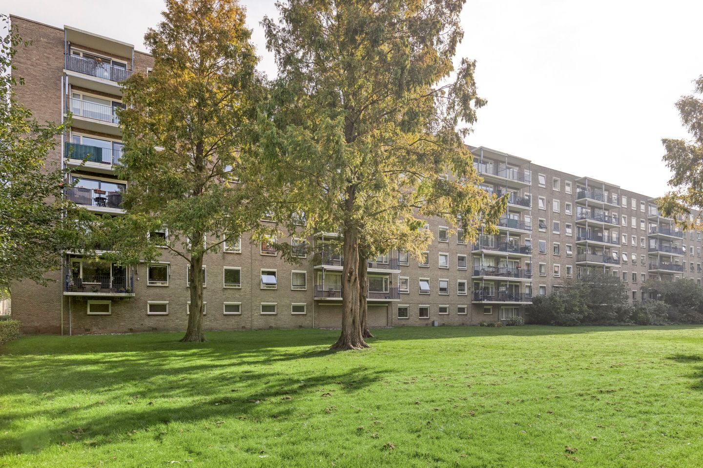 Foto 1 van Aert van Neslaan 215