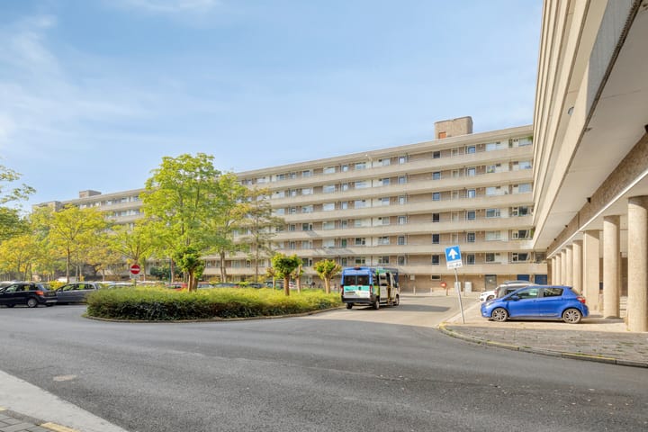 Foto 2 van Aert van Neslaan 215