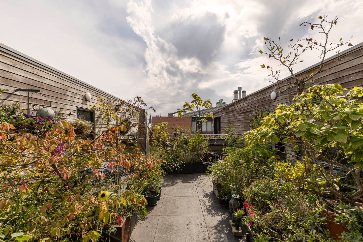 Foto 29 van Bickerswerf 54