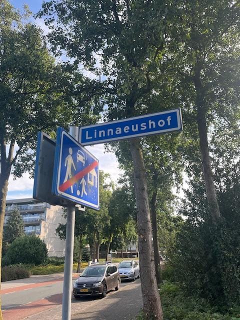 Foto 10 van Linnaeushof 2-A