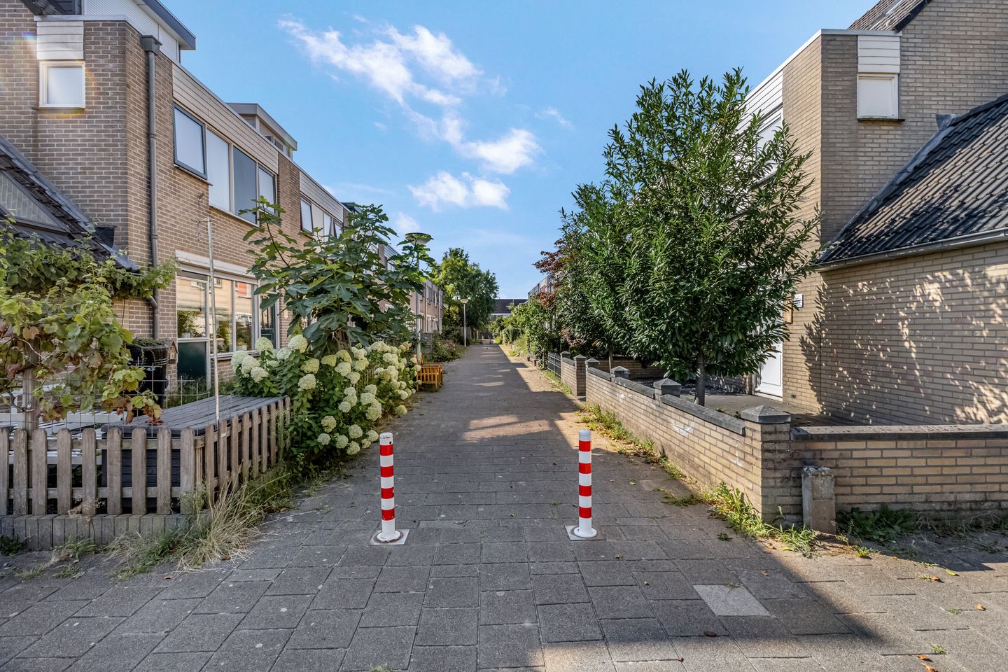 Photo 50 of Bildersstraat 13