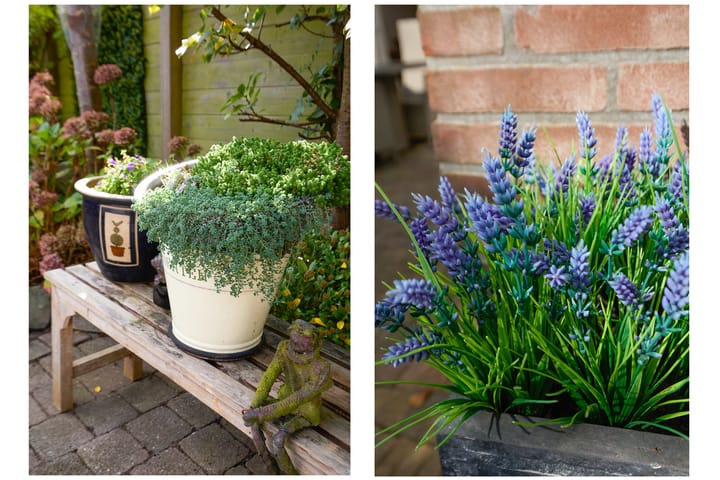 Foto 46 van Westland 31