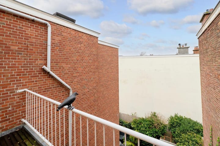 Foto 27 van Paulus Buijsstraat 82