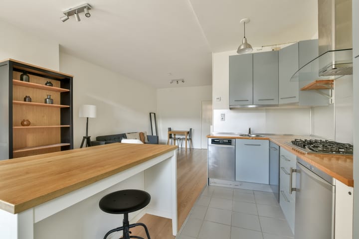 Foto 11 van Van Ostadestraat 12-1