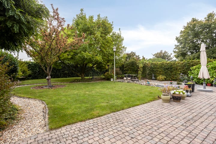 Foto 36 van Werner King 3