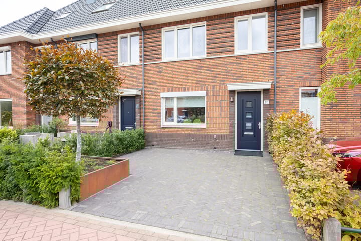 Foto 3 van Willem Duysplaats 20