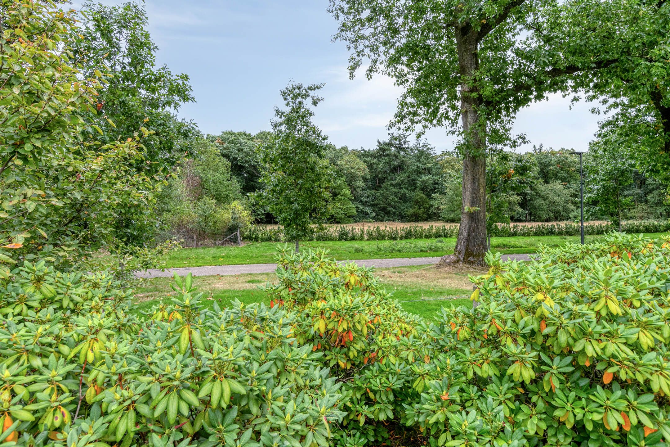 Foto 51 van Parklaan 21