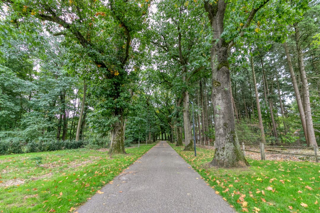 Foto 53 van Parklaan 21