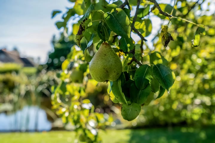 Photo 67 of Belterweg 8