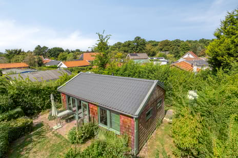 undefined main image