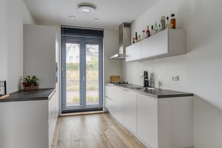 Foto 9 van Oeverzwaluw 20