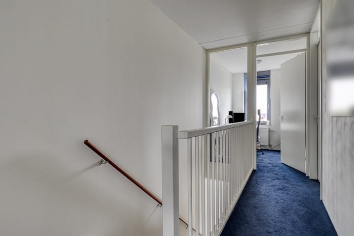 Foto 14 van Oeverzwaluw 20