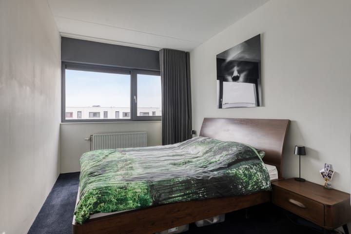 Foto 15 van Oeverzwaluw 20