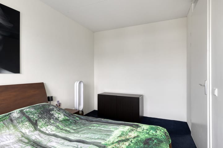 Foto 16 van Oeverzwaluw 20