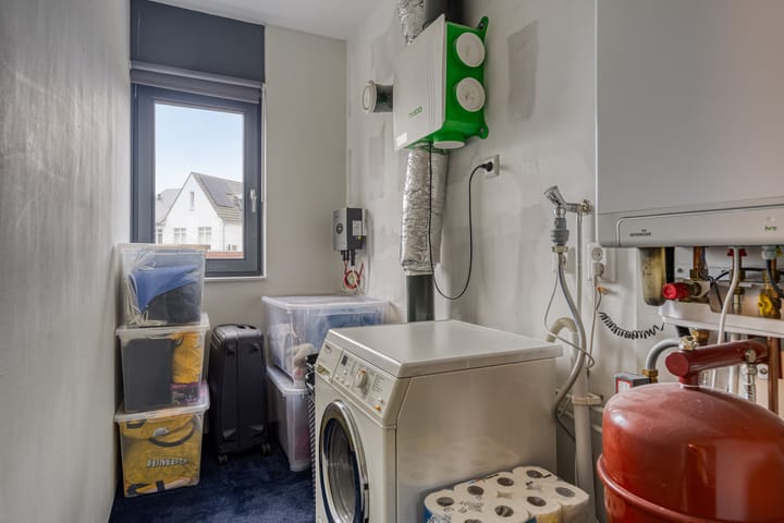 Foto 21 van Oeverzwaluw 20