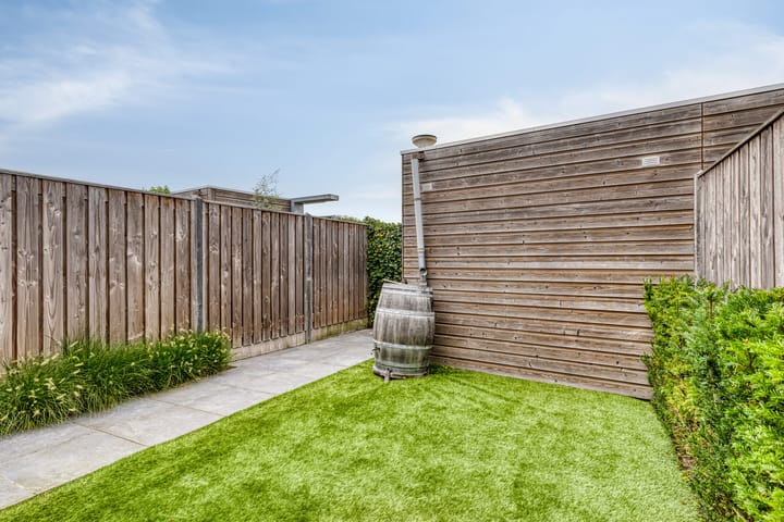 Foto 23 van Oeverzwaluw 20