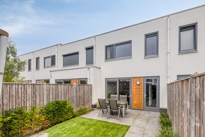 Foto 25 van Oeverzwaluw 20