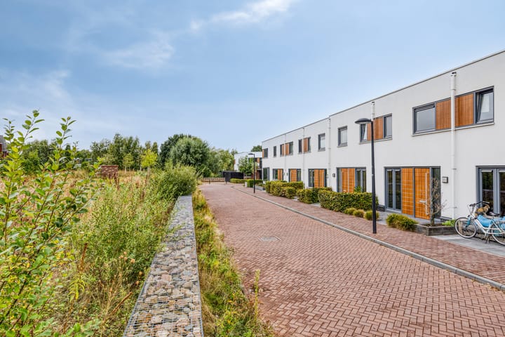 Foto 26 van Oeverzwaluw 20