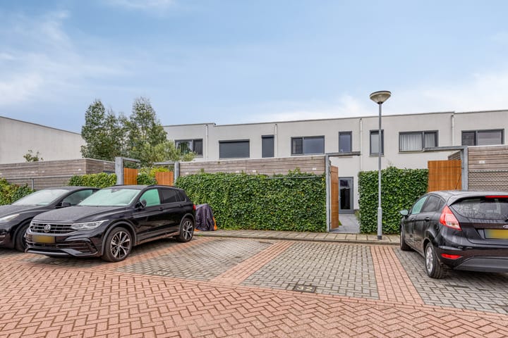 Foto 27 van Oeverzwaluw 20