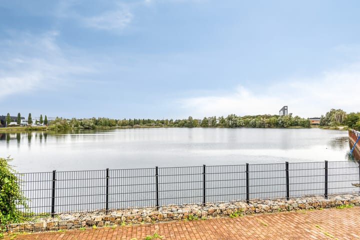 Foto 28 van Oeverzwaluw 20