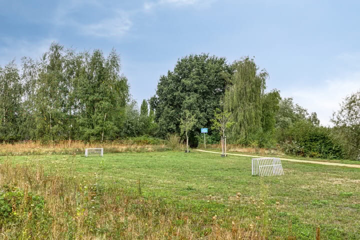 Foto 29 van Oeverzwaluw 20