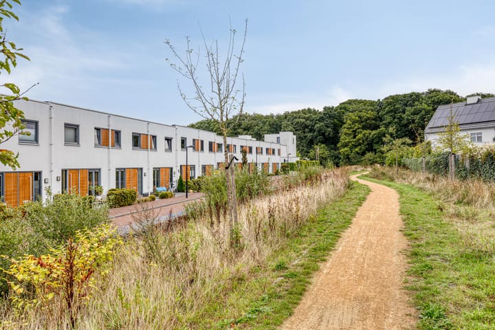 Foto 30 van Oeverzwaluw 20