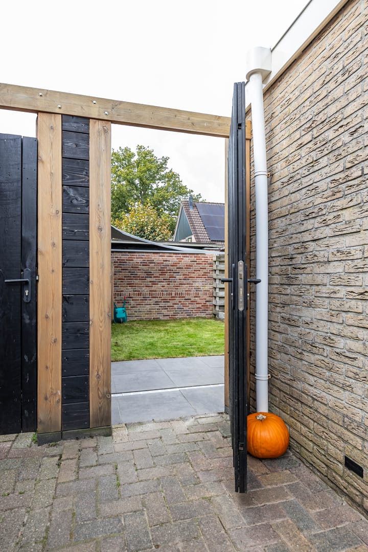 Foto 58 van Uiver 10