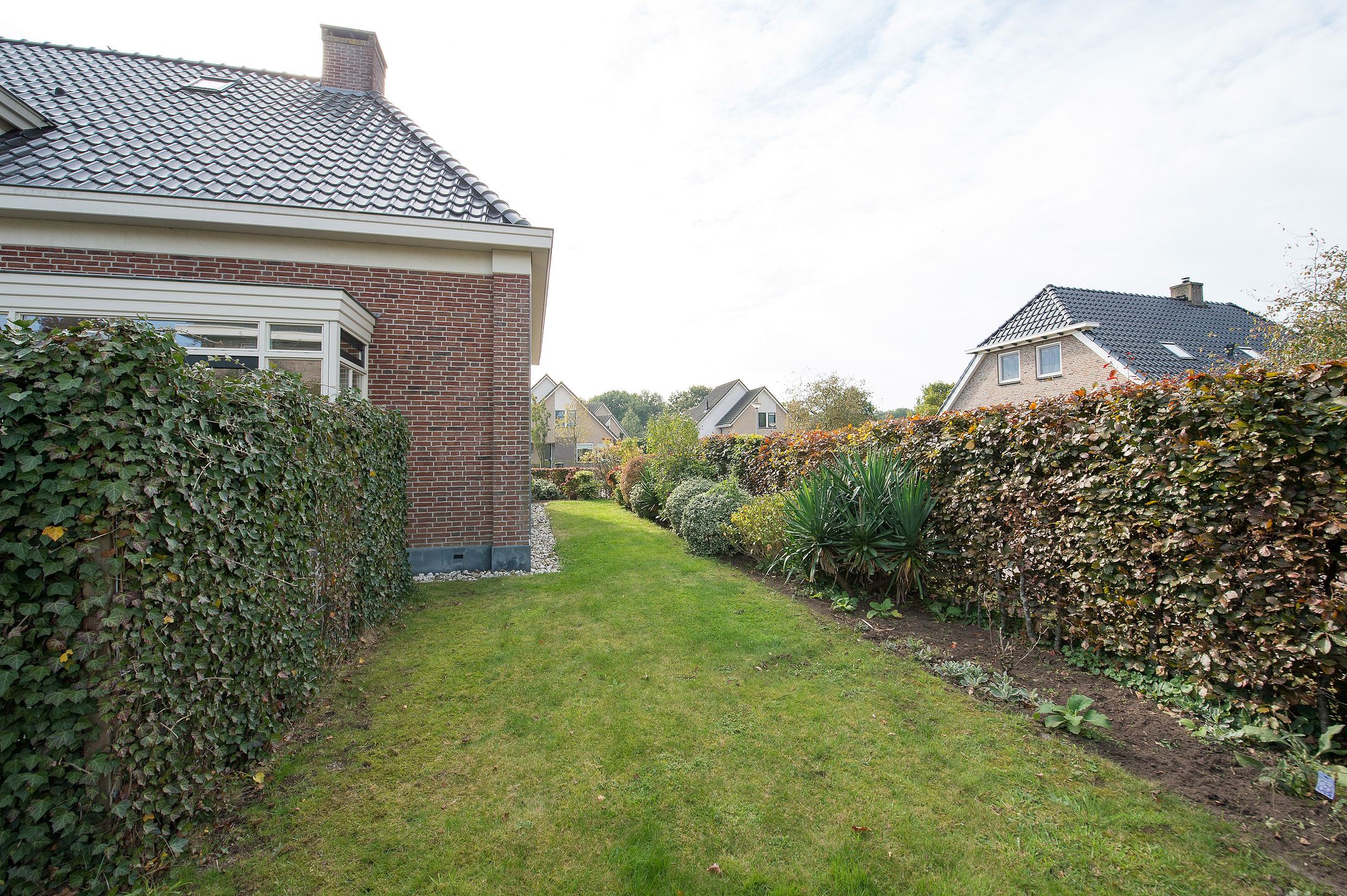 Photo 60 of Deel 12