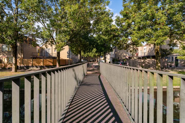 Foto 5 van Rhijnauwensingel 93