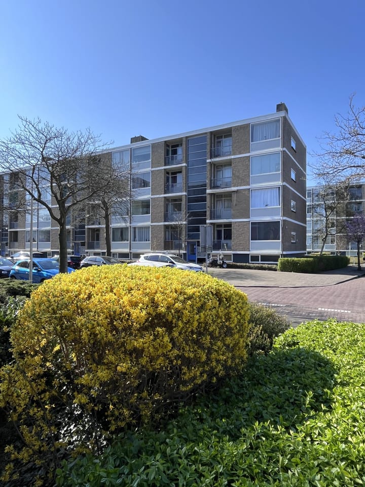 Photo 2 of Zwaardvegersgaarde 51